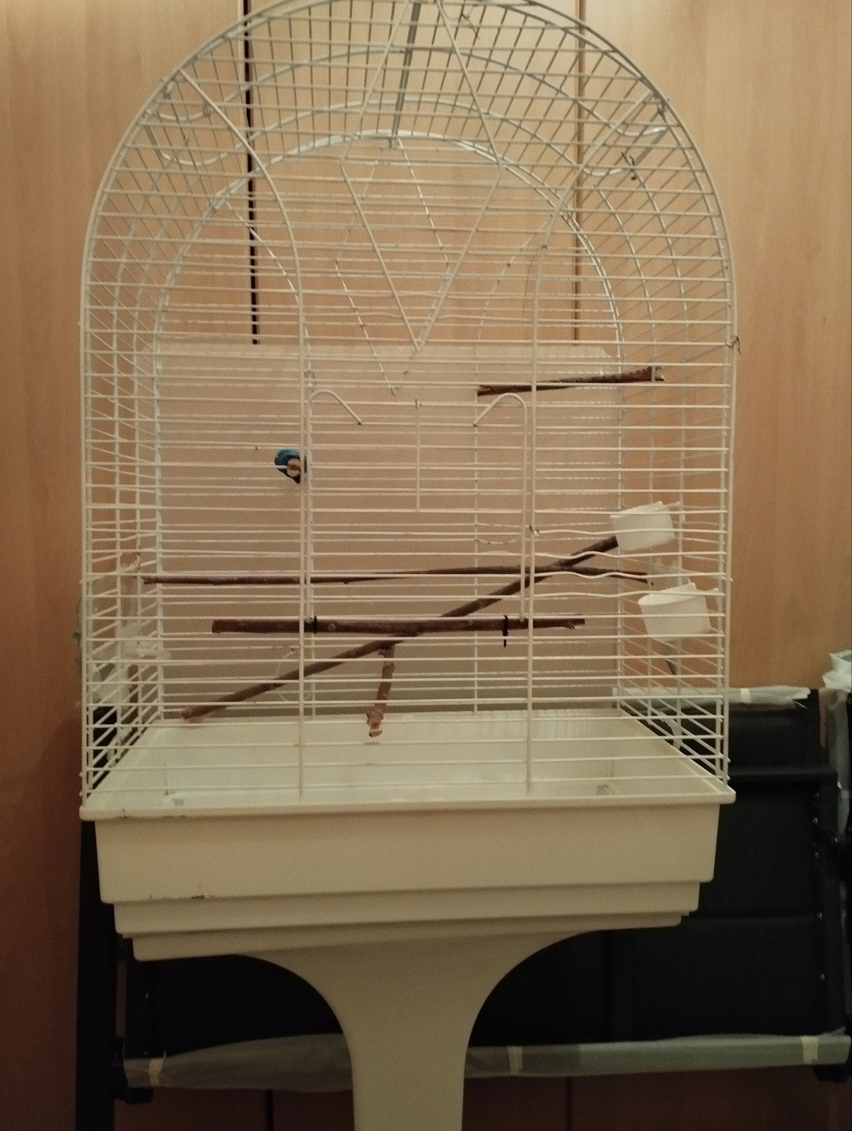 vogelkooi, Ophalen, Vogelkooi