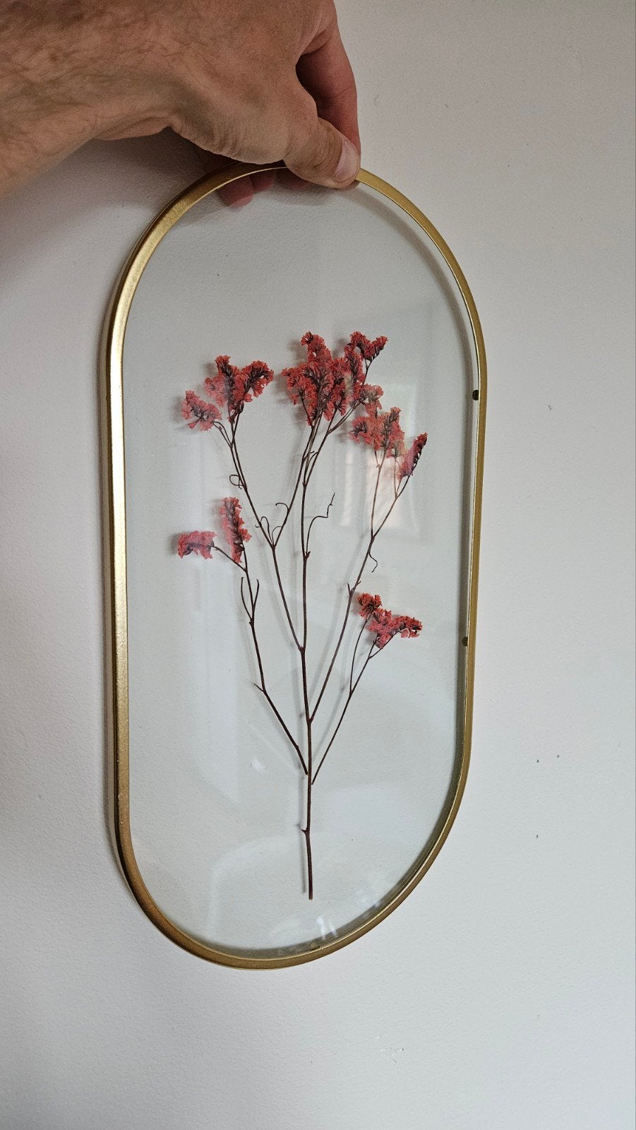 Droogbloemen in glas, Ophalen