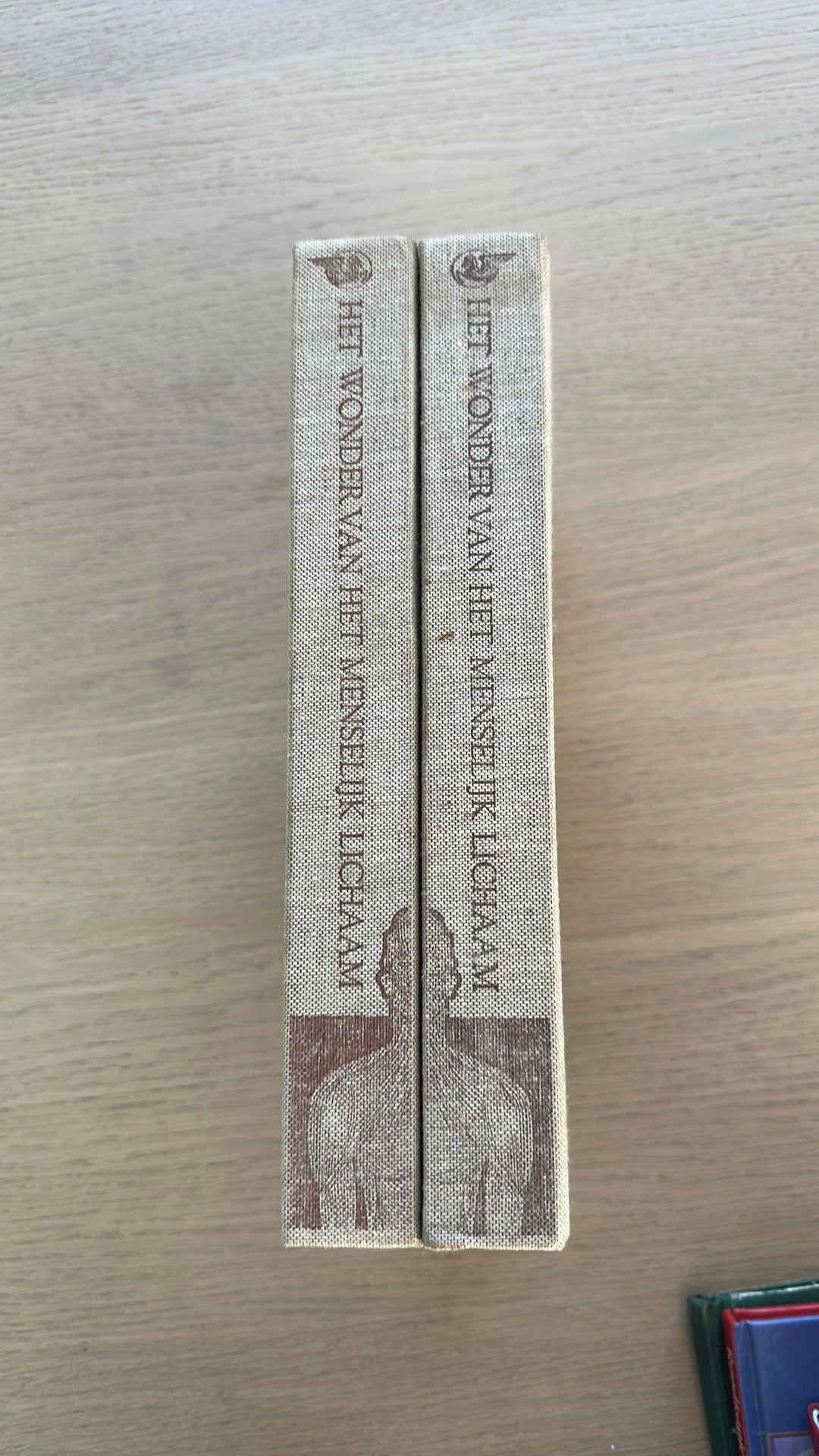 2 boeken van het menselijk lichaam, Handtassen en Accessoires, Overige Accessoires, Ophalen, Gebruikt