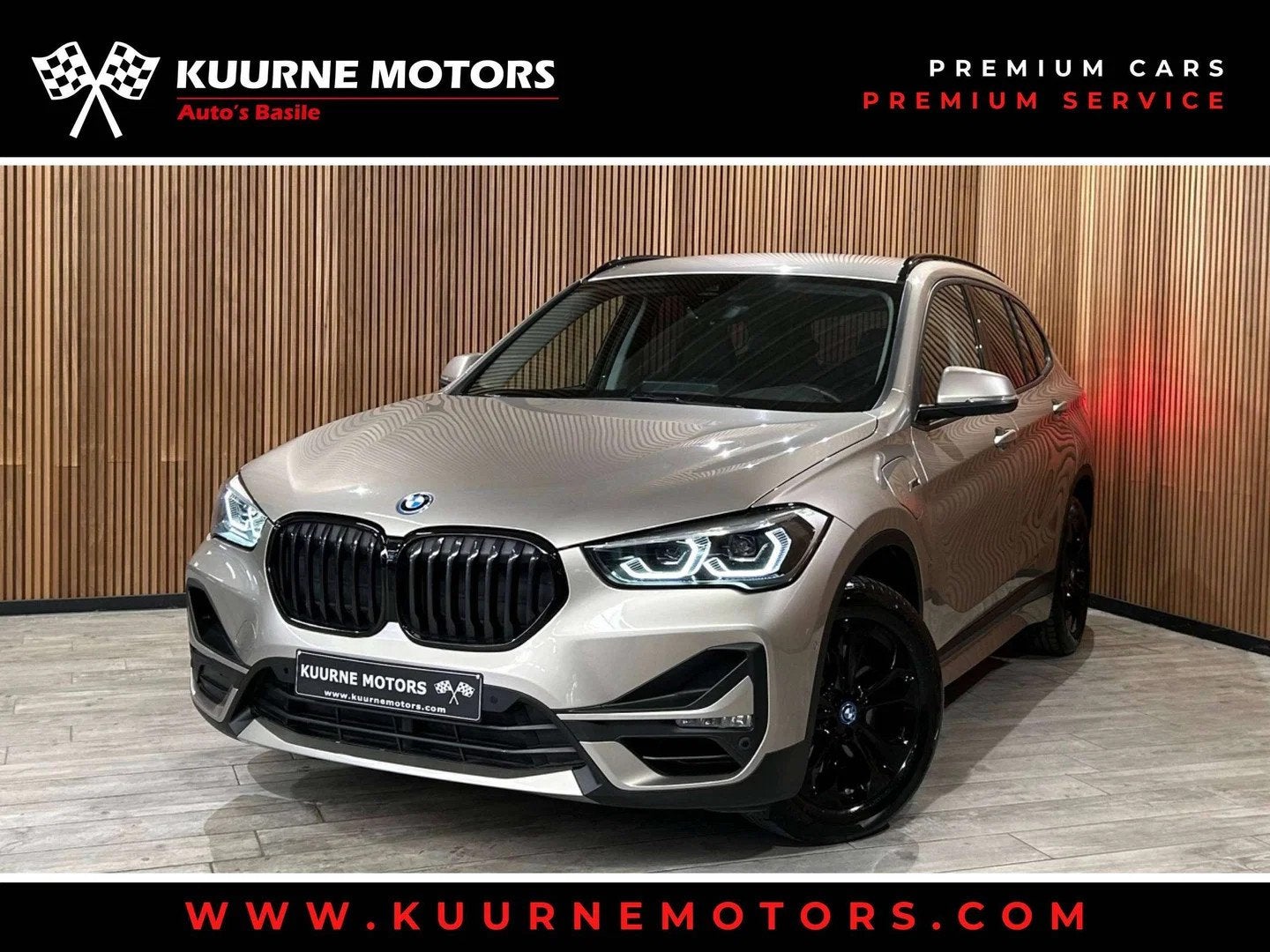 BMW X1 xDrive25e Led/Leder/Hud/GpsPro/Cam/Keyless/VerwZet *1, Argent ou Gris, Achat, Entreprise, Alarme