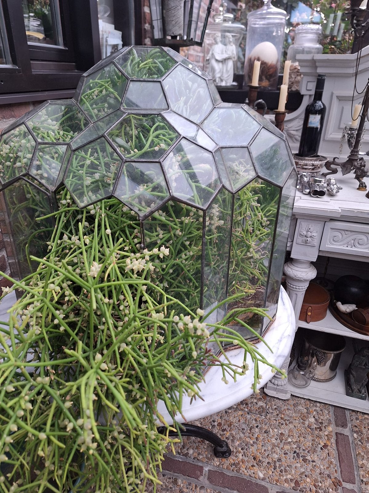 Terrariums en verre, Enlèvement, Comme neuf