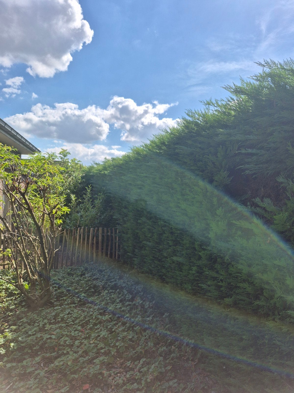 Gratis Sparren, Tuin en Terras, Ophalen