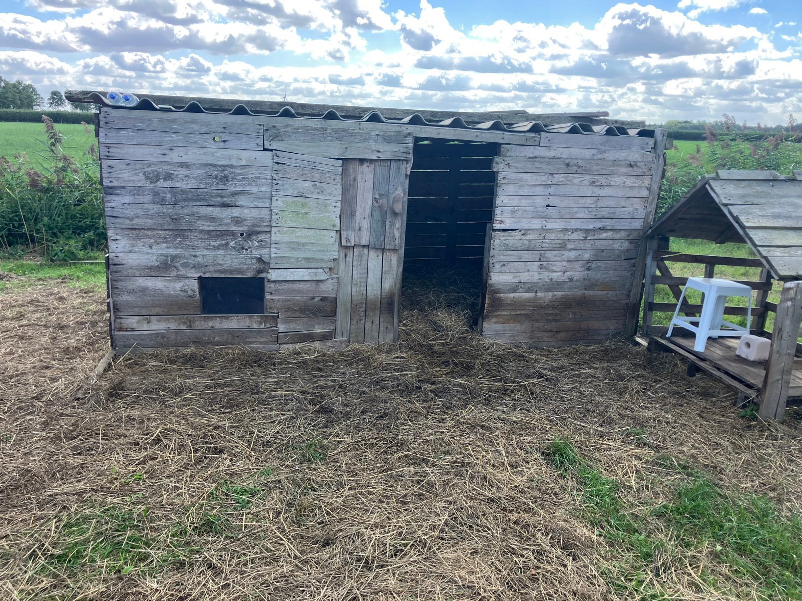 Houten stal (vervallen) met golfplatendak - zelf afbreken, Ophalen