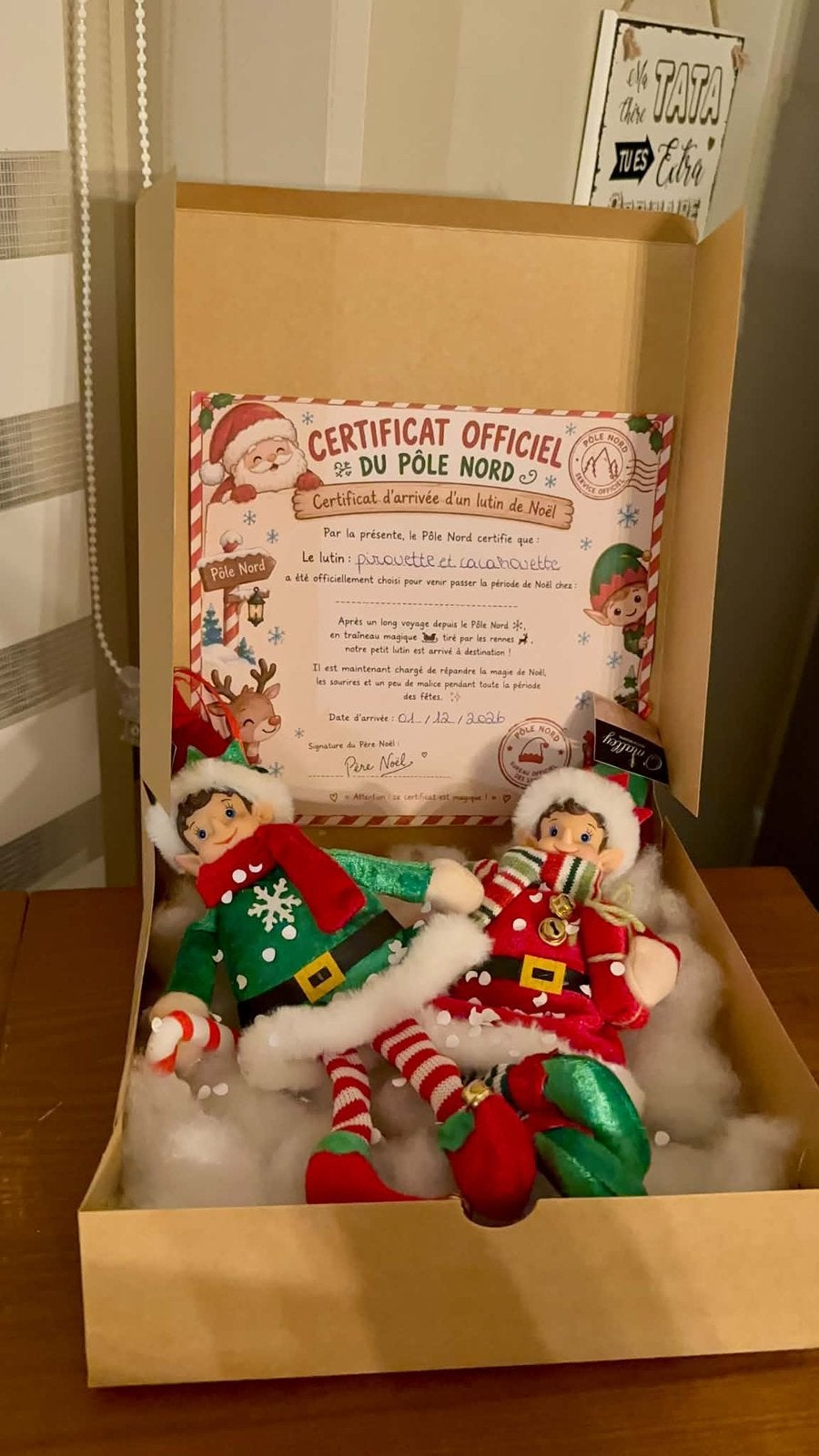 Set van 2 Trickster Elves met nieuw certificaat, Ophalen of Verzenden, Nieuw