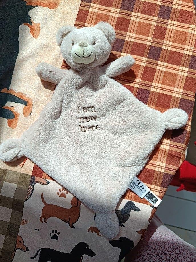 knuffeldoekje nicotoy beer  i am new here  (doos mei 2026), Enfants & Bébés, Jouets | Peluches, Enlèvement ou Envoi, Neuf, Ours