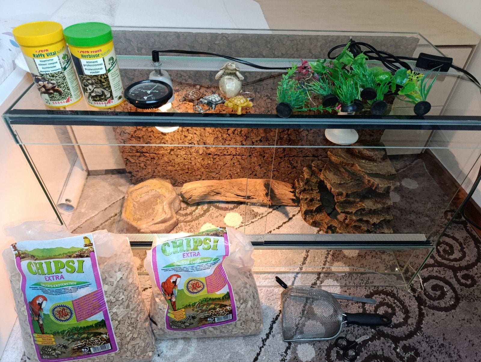 Terrariumset voor landschildpad – alles inbegrepen, klaar, Dieren en Toebehoren, Ophalen, Gebruikt, Terrarium of Paludarium