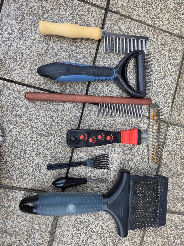 Borstels en kammen hond, Dieren en Toebehoren, Ophalen