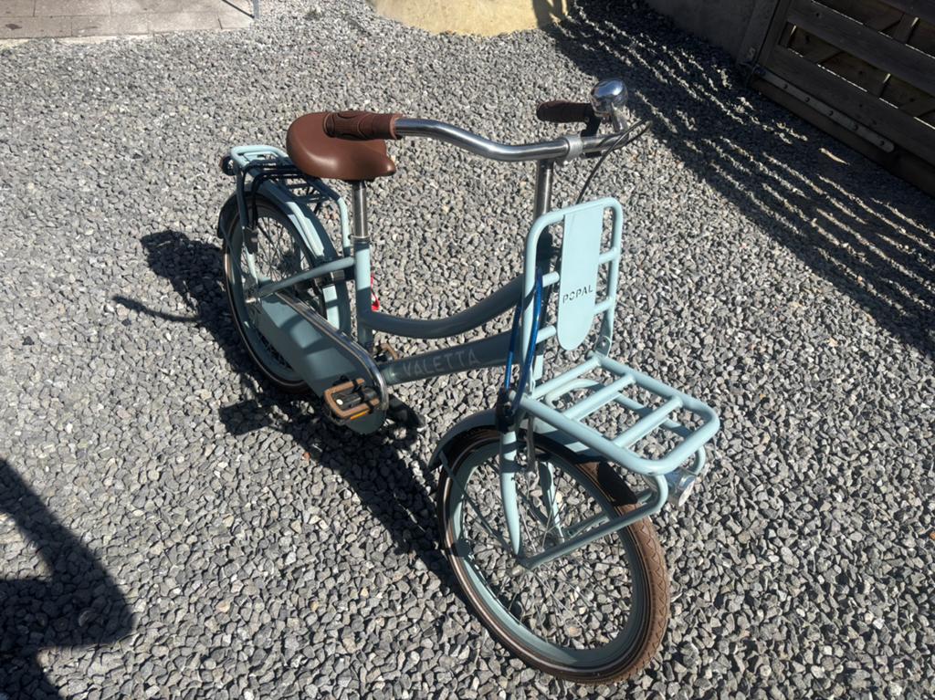 Meisjesfiets, Ophalen, Terugtraprem, 20 inch, Handrem