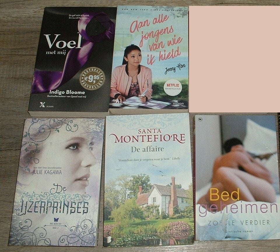 diverse boeken - romans - trillers - erotiek, Enlèvement ou Envoi, Comme neuf, Diverse auteurs
