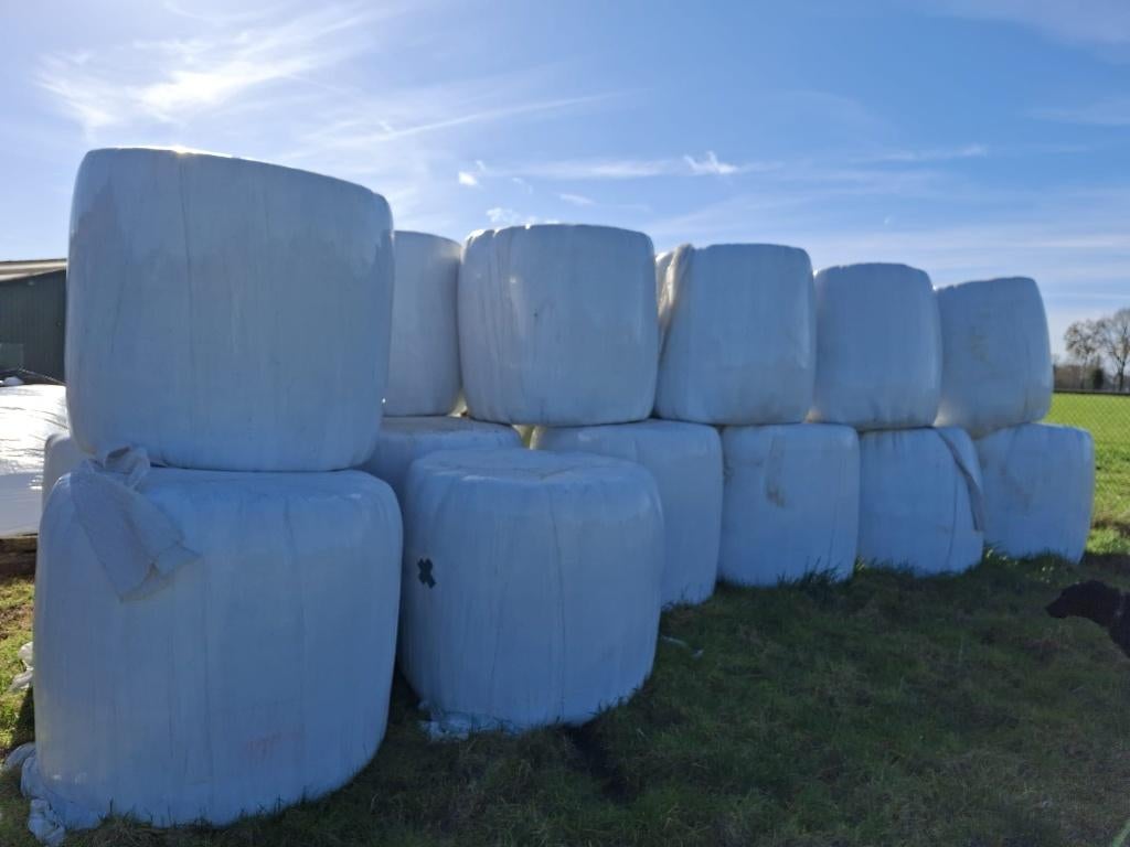 Ronde hooibalen, Zakelijke goederen, Landbouw | Veevoer, Ophalen