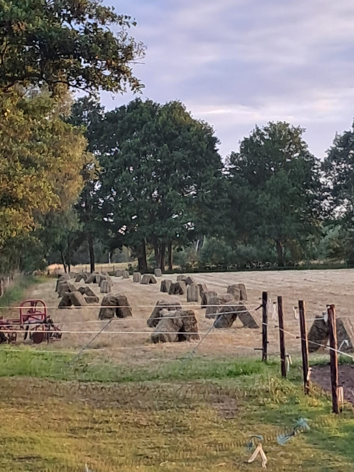 Mooie klein pakjes hooi, Dieren en Toebehoren, Ophalen