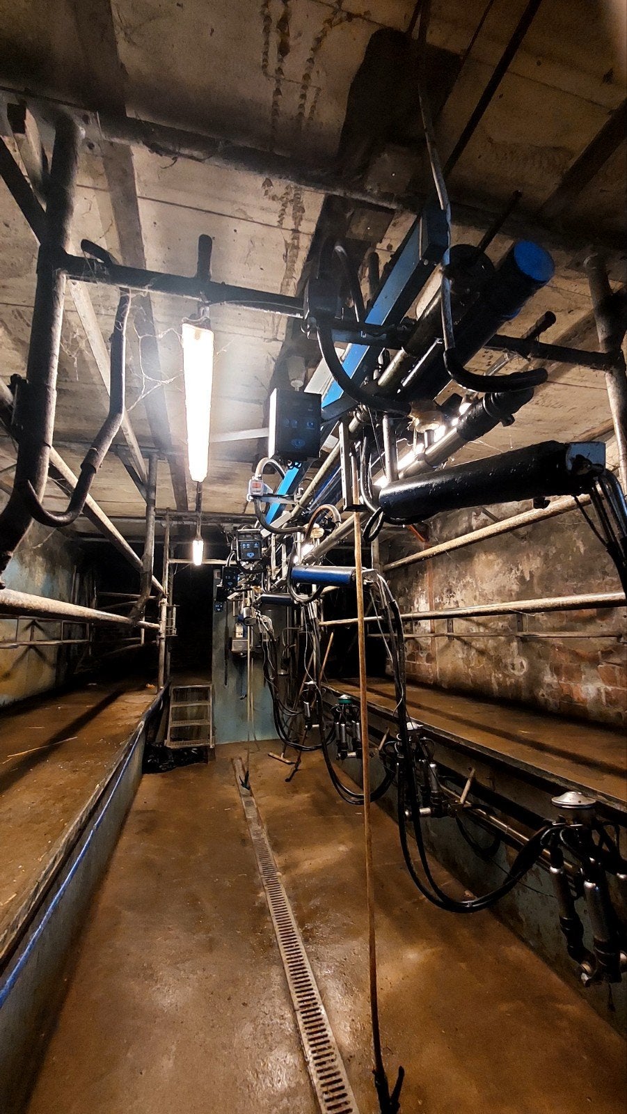 Melksalon Delaval, Ophalen