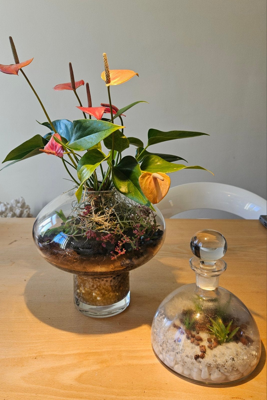 mooi gevulde glazen vaas en karaf, Maison & Meubles, En pot, Plante à fleurs, Moins de 100 cm, Enlèvement