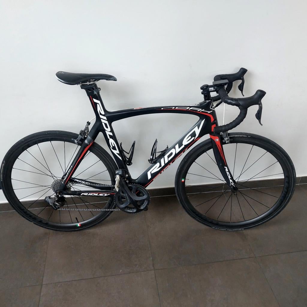 Ridley noah, Enlèvement, Carbone