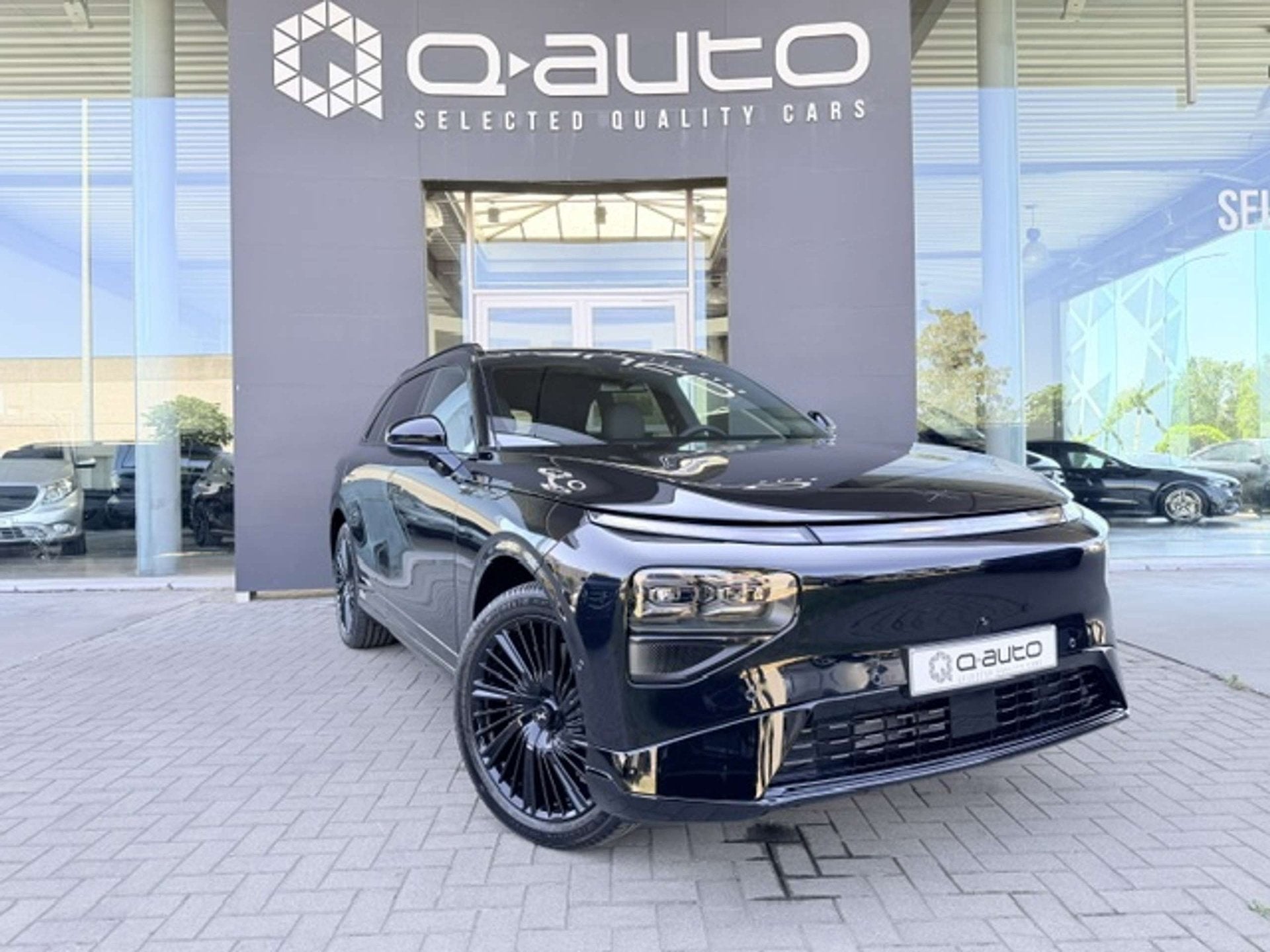 XPENG G9 AWD Performance Black Edition Premium Pack + Trekha, Autos, 575 ch, Achat, Euro 6, Entreprise