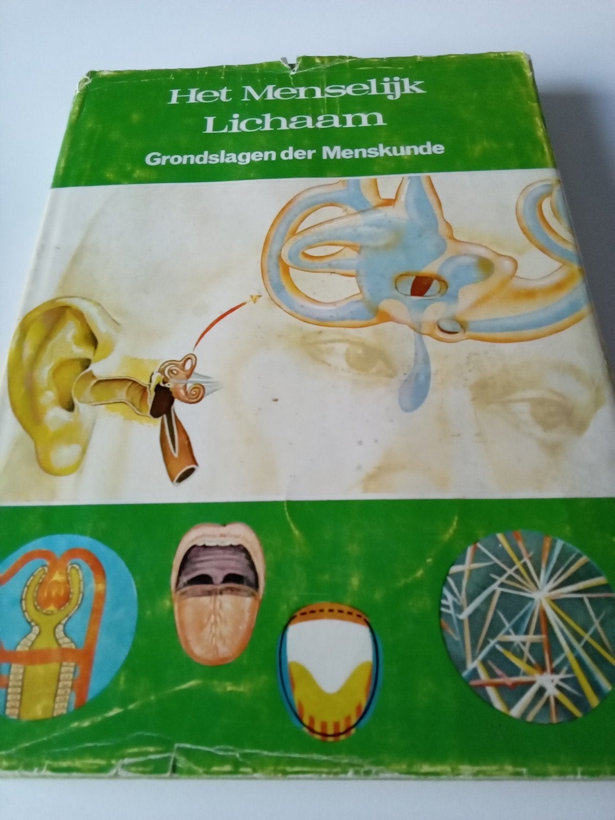 het menselijk lichaam, Ophalen