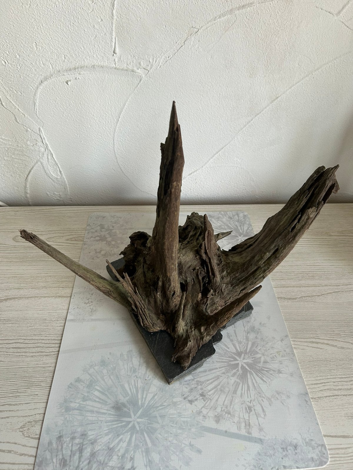 Scaperwood, Enlèvement ou Envoi, Comme neuf, Plante(s), Pierre ou Bois