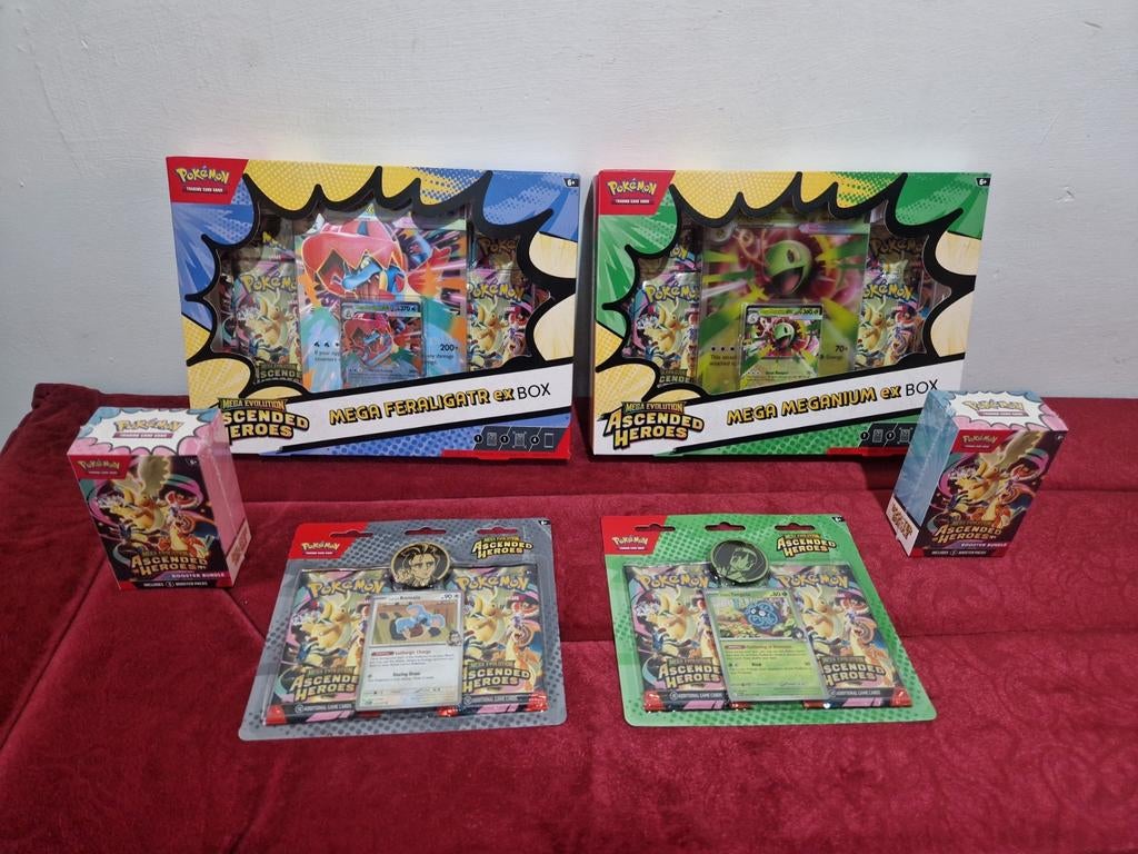 Persoonlijke pokemon AH collectie te koop voor slechts €330, Hobby en Vrije tijd, Ophalen