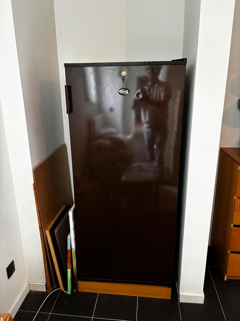 Wijn frigo, Elektronische apparatuur, Koelkasten en IJskasten, Ophalen, Gebruikt, Zonder vriesvak, 160 cm of meer