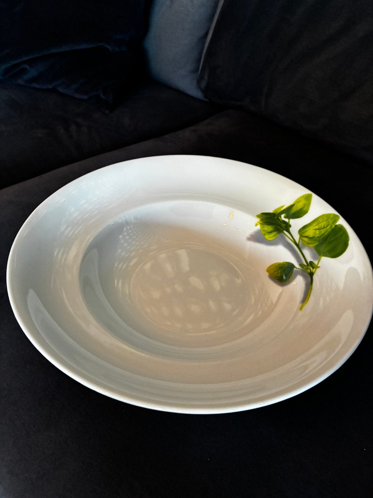 20 Assiettes creuses 30cm de diamètre, Maison & Meubles, Cuisine | Vaisselle, Assiettes(s), Comme neuf, Enlèvement, Porcelaine
