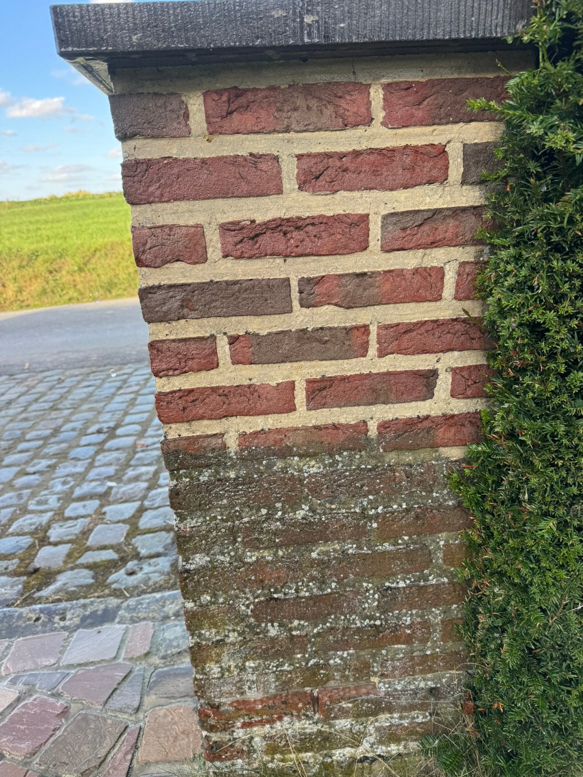 Gevelrenovatie - Voegwerken, Doe-het-zelf en Bouw, Ophalen of Verzenden, Zo goed als nieuw, Bakstenen