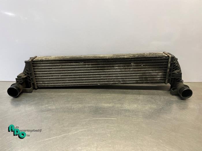 Intercooler van een Renault Espace (Espace 4 02-), Gebruikt, -, Renault, -