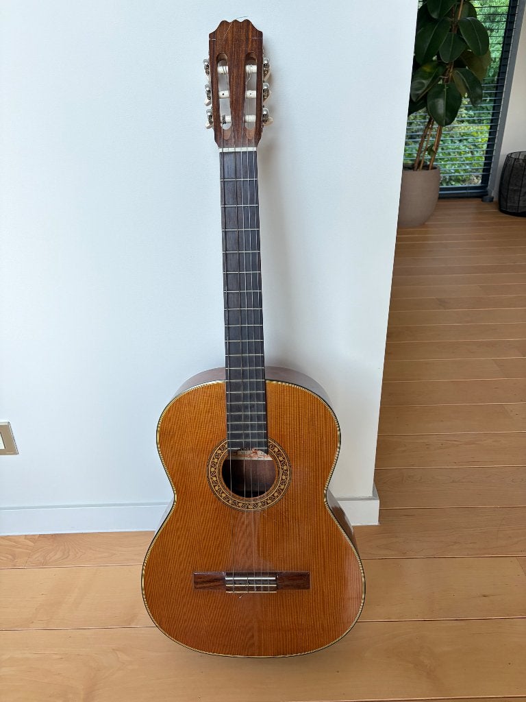 Gitaar Aria AC-8, Musique & Instruments, Enlèvement, Utilisé, Guitare classique ou espagnole