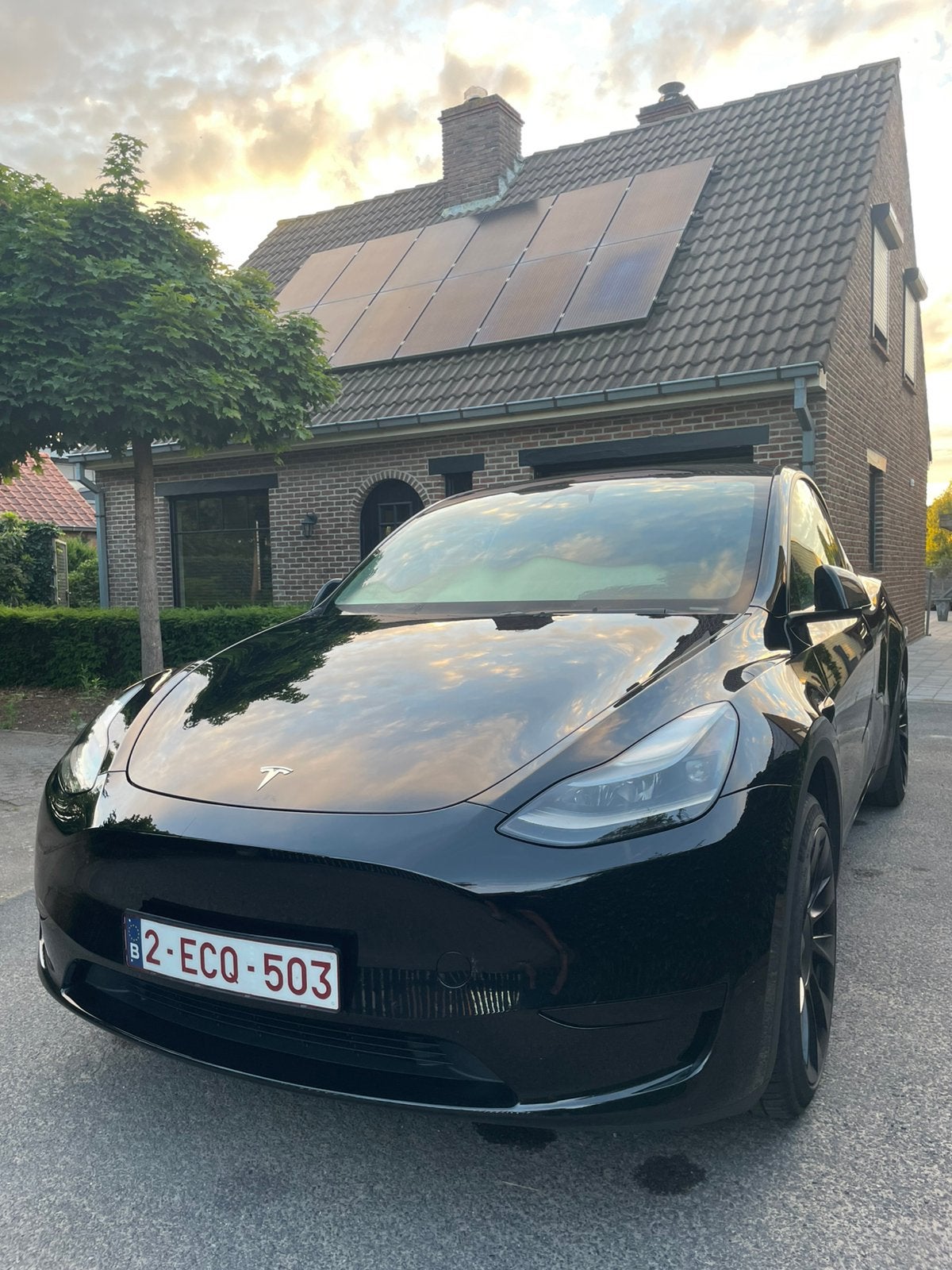 Tesla model Y standard range, Autos, Achat, Noir, 5 portes, 220 kW