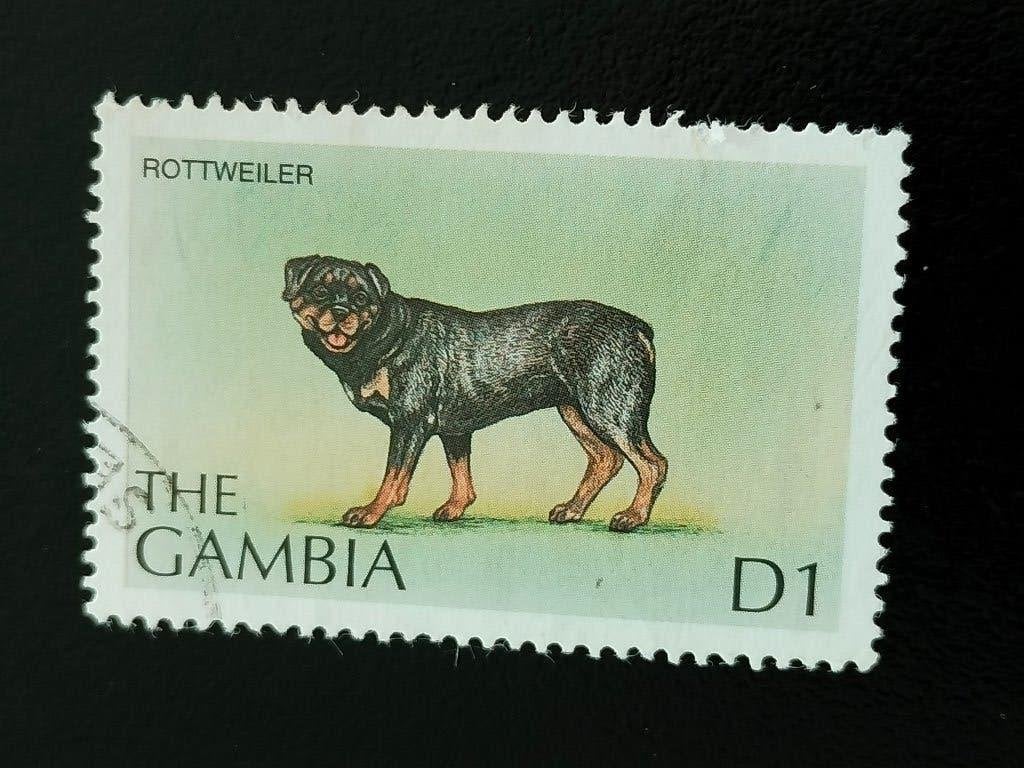 Gambie 1997 - chiens, Rottweiler, Envoi, Autres pays, Affranchi