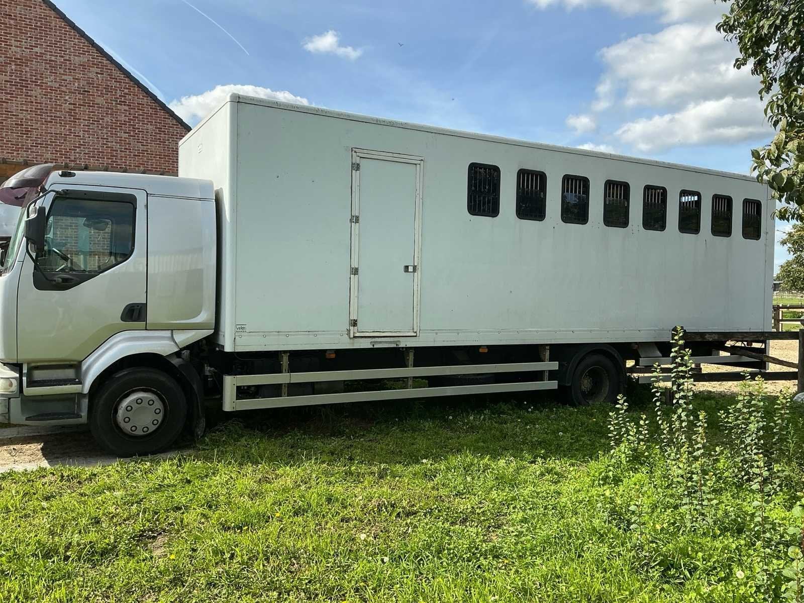 Renault 44ACA3 Camion à chevaux 2014, Achat, Entreprise, Euro 3, Autres carburants