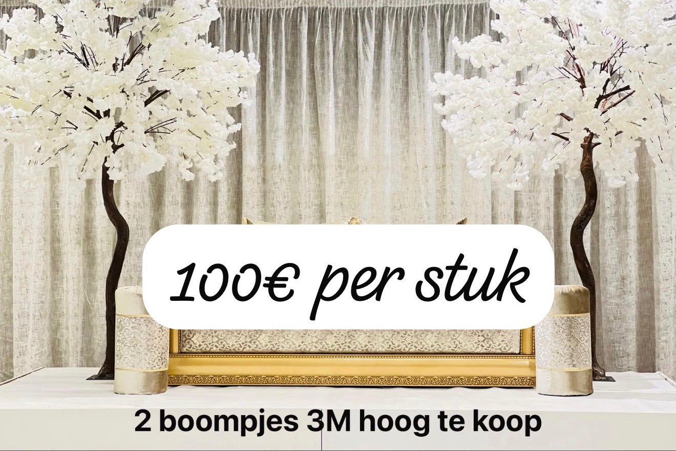 Bloesem boompjes te koop, Ophalen, Zo goed als nieuw