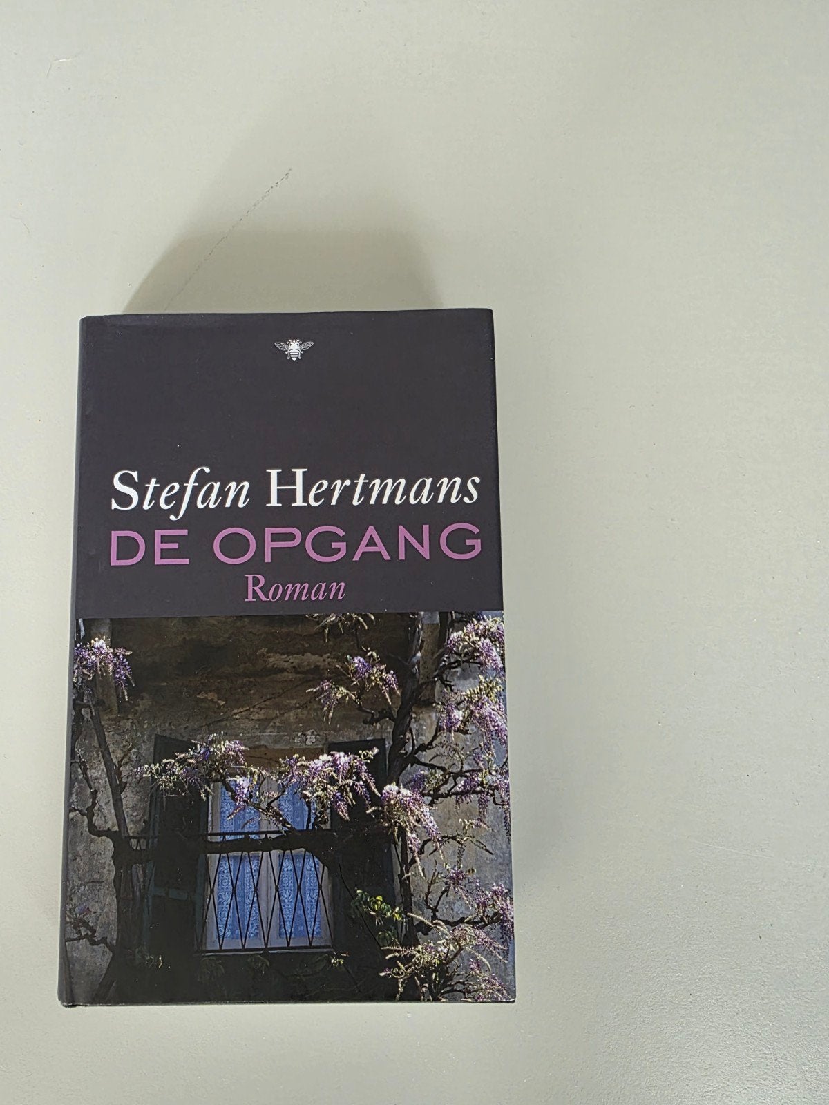 Stefan Hertmans - De opgang, Boeken, Ophalen of Verzenden, Stefan Hertmans