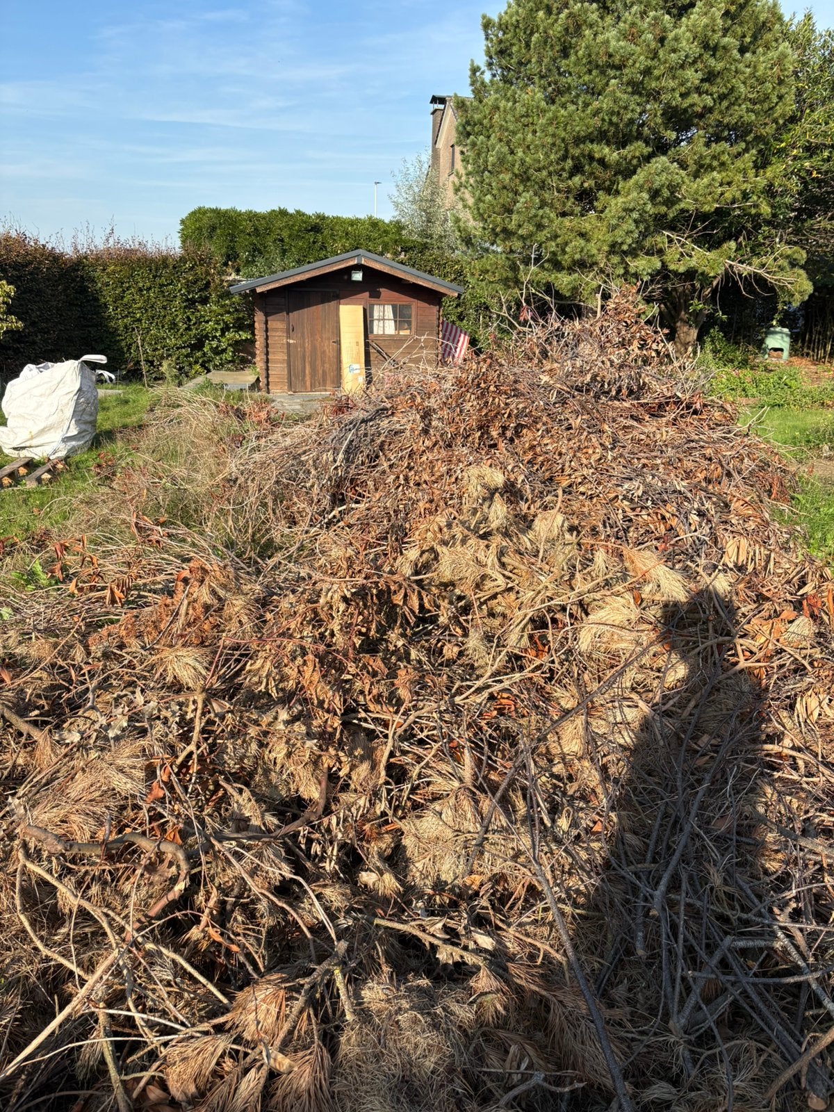 Brandhout en aansteekhout, Tuin en Terras, 6 m³ of meer, Ophalen, Overige houtsoorten, Takken