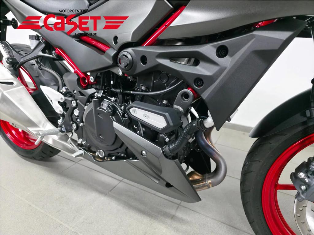 Kawasaki Z 500 (année de construction 2024), Entreprise, 451 cm³, 12 à 35 kW, Autre