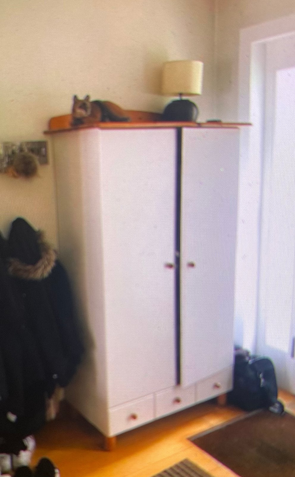Kast voor de kinderkamer B101 D52 H170, 105 cm ou plus, Enlèvement, Utilisé, 50 à 70 cm
