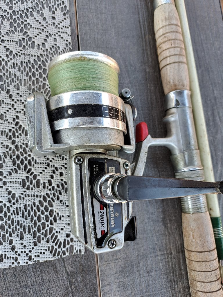 visstok met daiwa molen, Watersport en Boten, Hengelsport | Zeevissen, Ophalen of Verzenden, Gebruikt, Molen