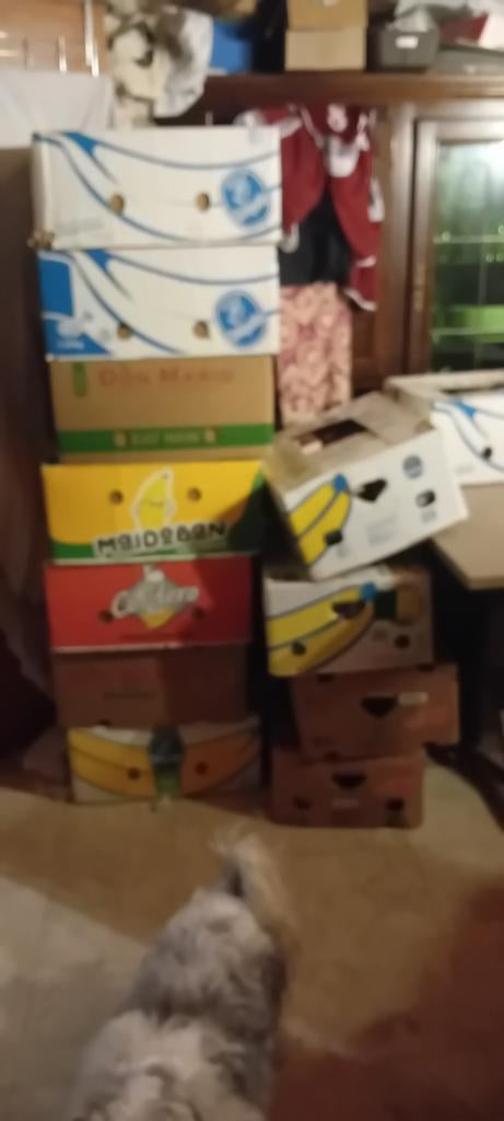 Partij boeken, Diversen, Ophalen, Gebruikt