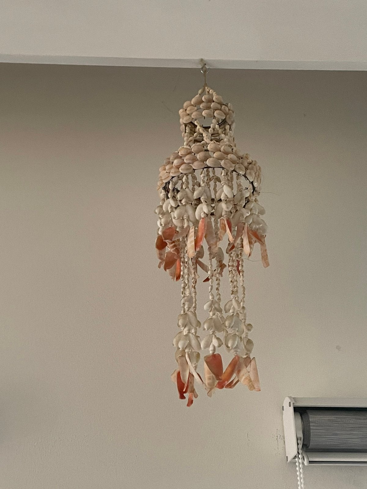 Decoratieve schelpen, Huis en Inrichting, Ophalen, Gebruikt, Beige