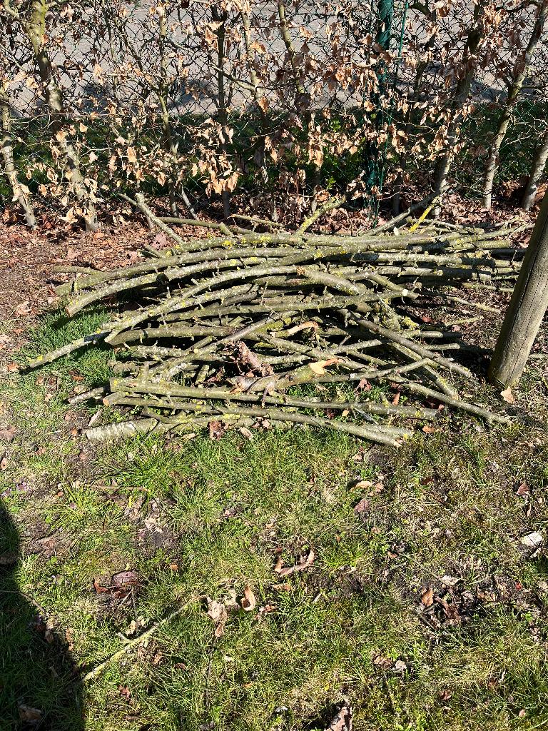 Brandhout, Ophalen