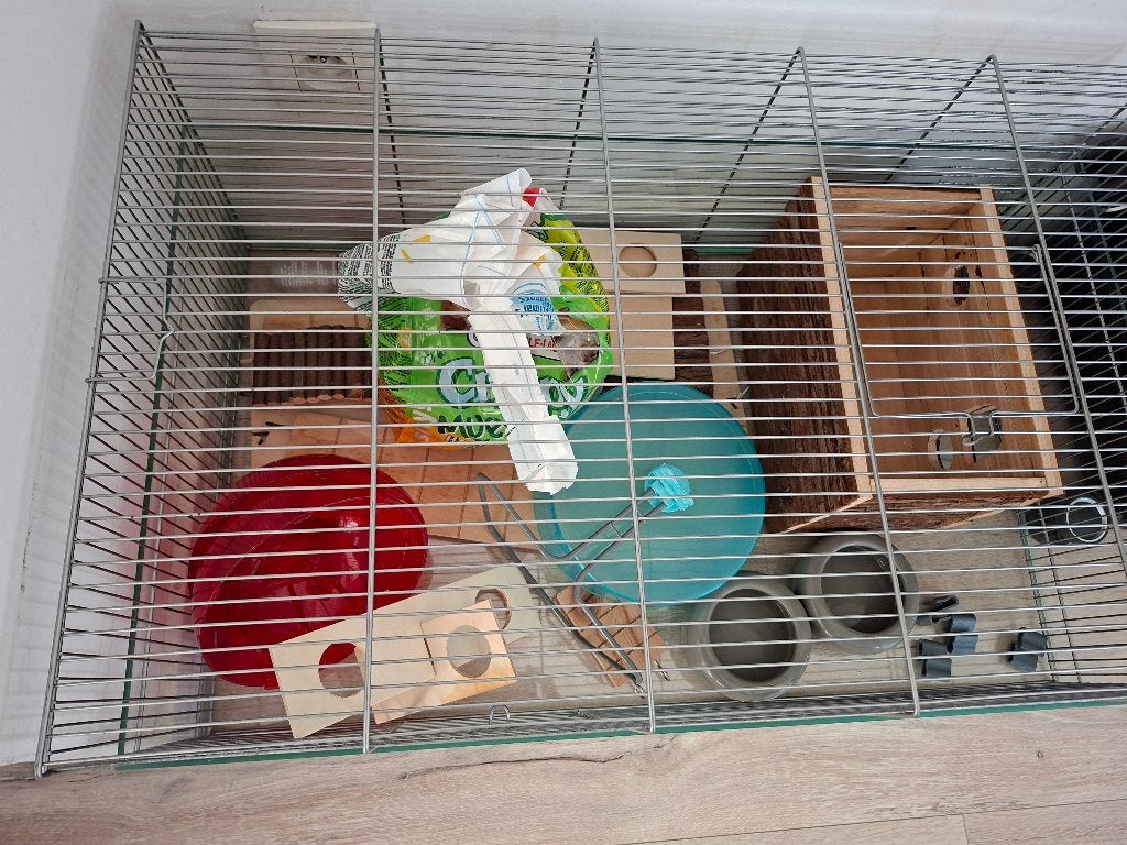 Hamsterhok met attributen, Dieren en Toebehoren, Ophalen, Gebruikt, Hamster