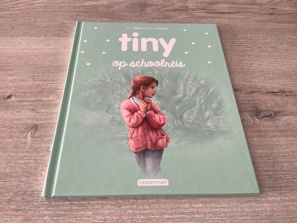 Petit livre de lecture en voyage scolaire, Garçon ou Fille, Enlèvement ou Envoi, Comme neuf, 4 ans