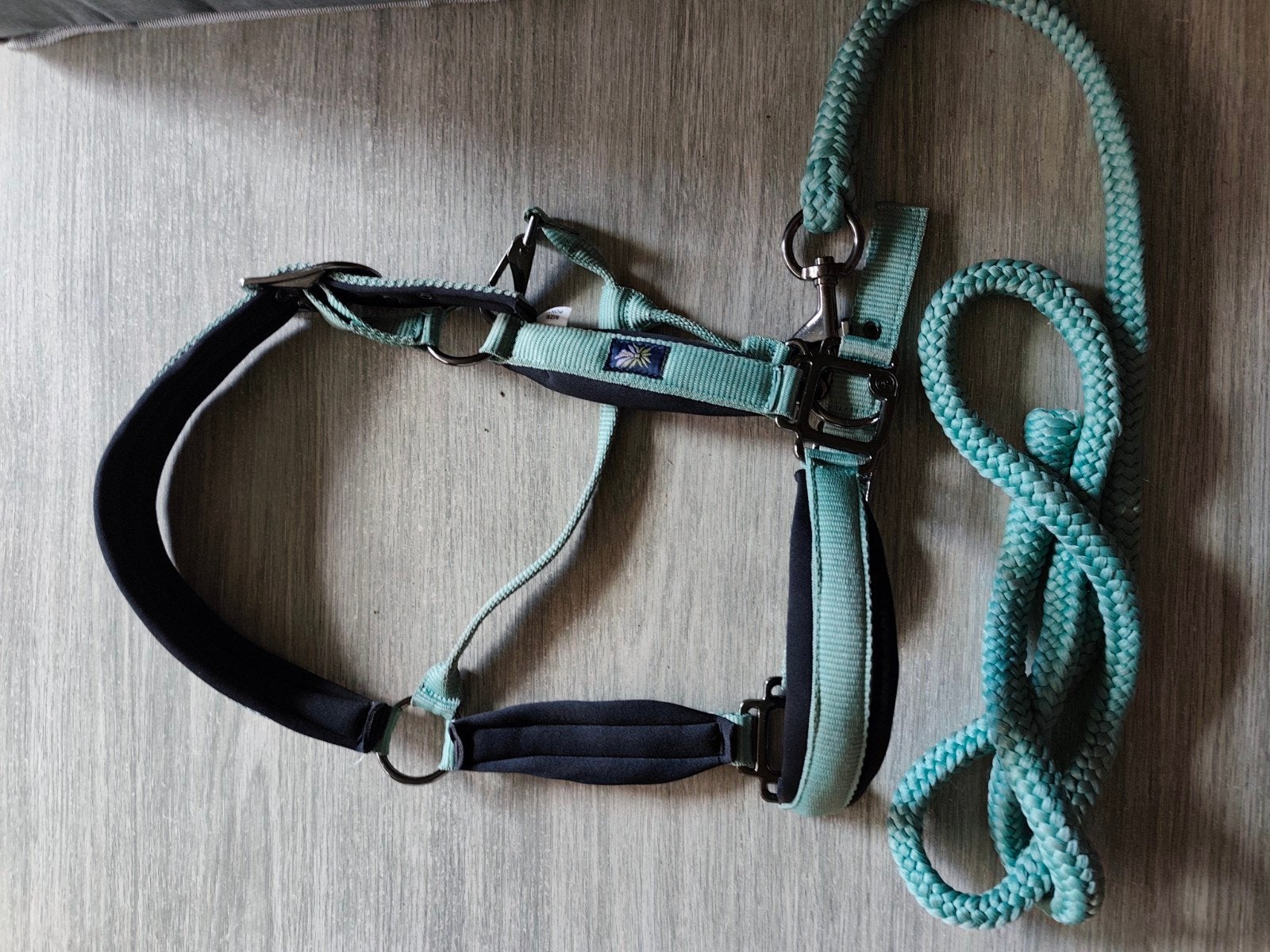 nieuwe halsters maat PONY, Neuf, Autres disciplines, Vert, Enlèvement