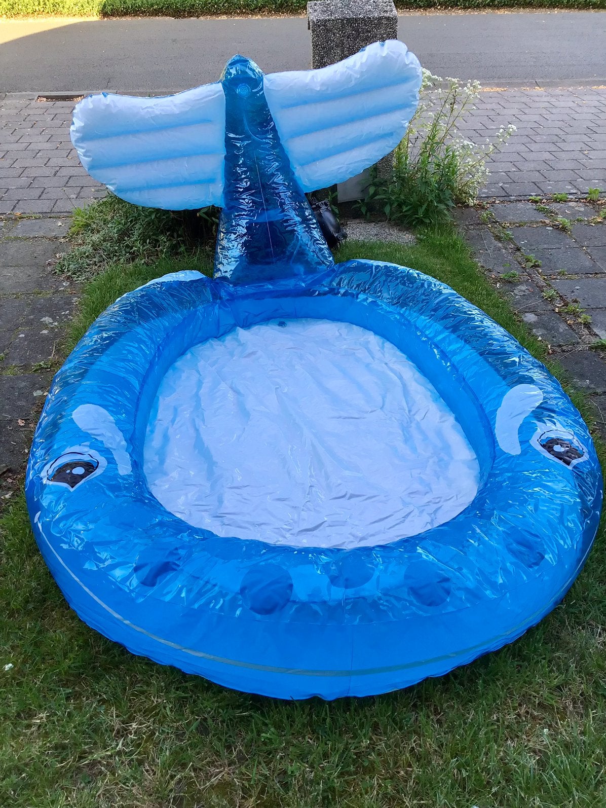 Dolfijn zwembad, Ophalen, Zo goed als nieuw