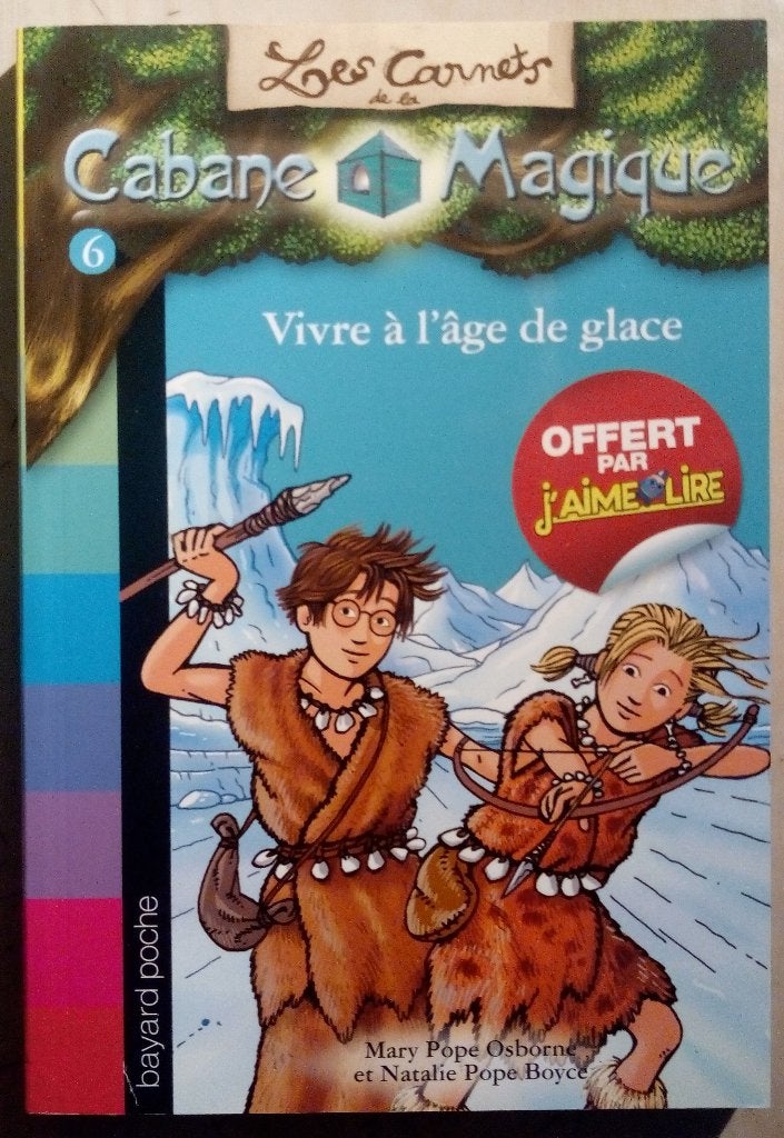 Vivre à l'âge de glace - Mary P. Osborne & Nathalie P. Boyce, Livres, Livres pour enfants | 4 ans et plus, Enlèvement ou Envoi