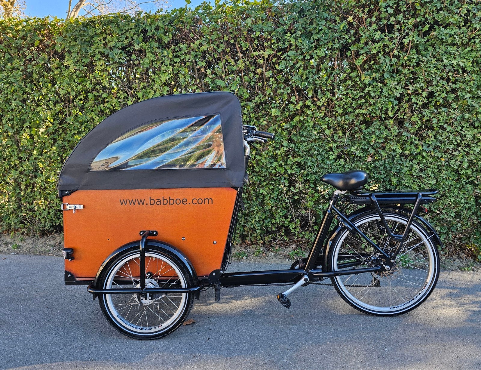 Babboe Dog elektrische bakfiets GEKEURD, Fietsen en Brommers, Ophalen, Zo goed als nieuw, 4 kinderen of meer, Elektrisch