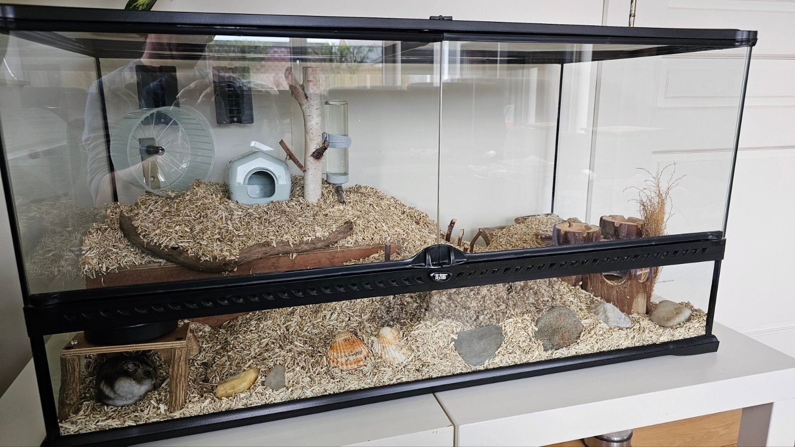hamsterkooi (in optie), Kooi, Gebruikt, Hamster, 75 tot 110 cm