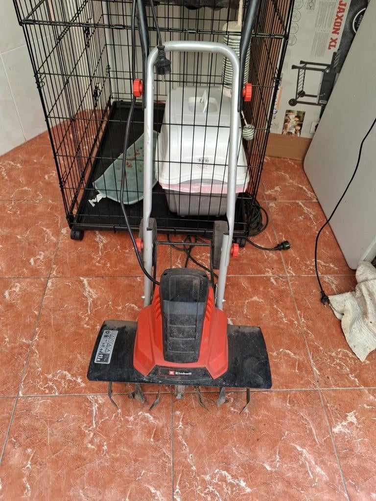 Tuinfrees te koop, Tuin en Terras, Ophalen