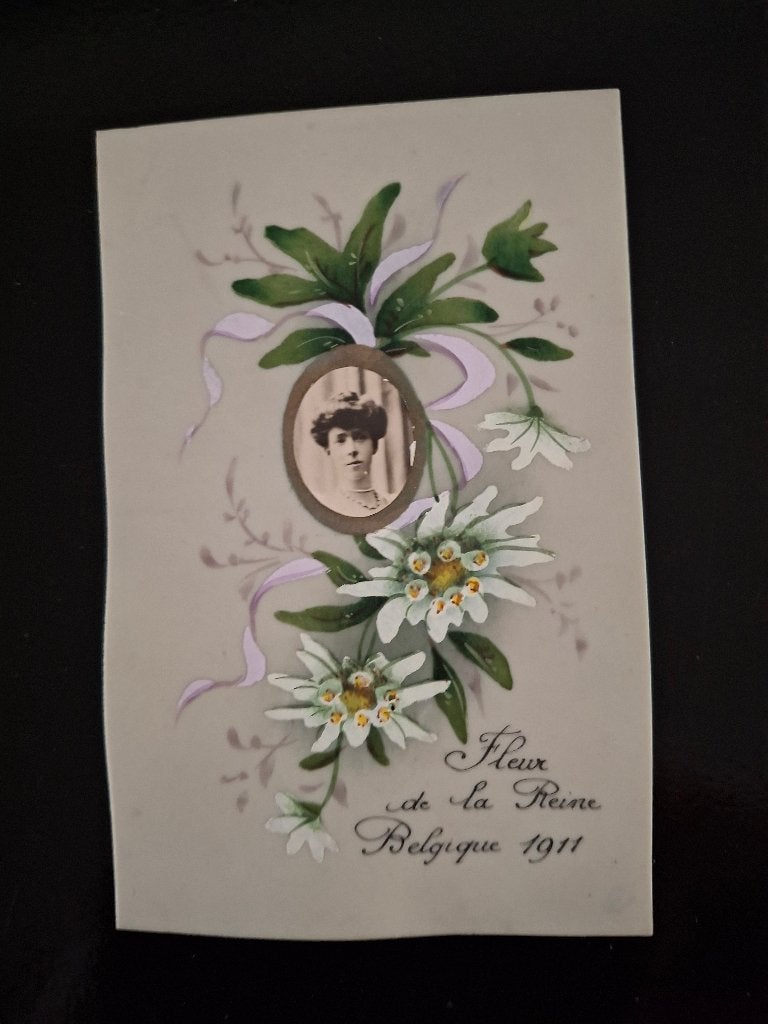 Koningin Elisabeth  speciale kaart, Verzamelen, Verzenden, Gebruikt, Kaart, Foto of Prent
