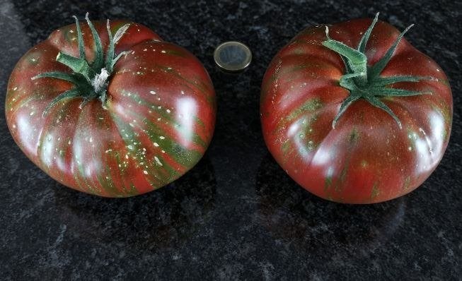 5 graines de tomates Chocolate stripes -  culture biologique, Envoi, Printemps, Graine