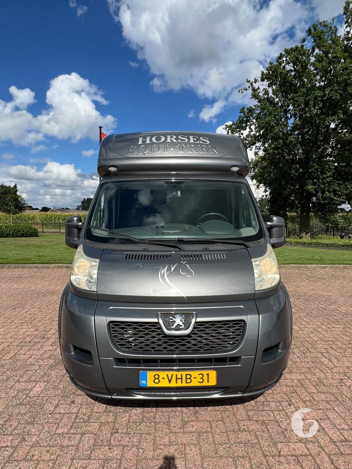 Prachtige Peugeot paardenwagen, slechts 36.000KM!, Ophalen, Zo goed als nieuw, Aluminium, 2-paards trailer